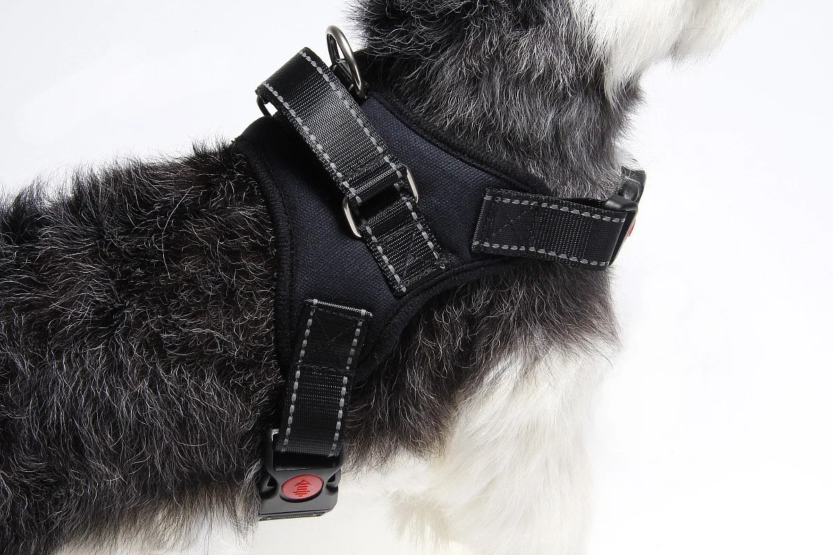 S-XL поводок для собак ошейник для прогулок Регулируемый мягкий очень большой ошейник безопасность дышащий поводок для собак ошейник