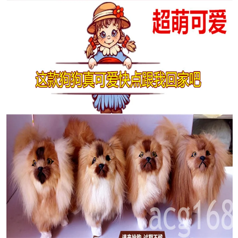 https://ae01.alicdn.com/kf/H26466cd645564cde9ea5901979a31647u/Dog-Plush-Doll-Simulation-Soft-Pekingese-Lovely-Lovely-Interesting-Worthwhile-US-Cute-Plush.jpg