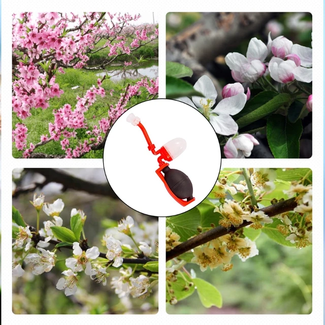 50 Font Paradicsom Beporzó Őszibarack Körte Növényi Virágmás Beporzók Zöldség Dinnye Permetezőgép - Image 3