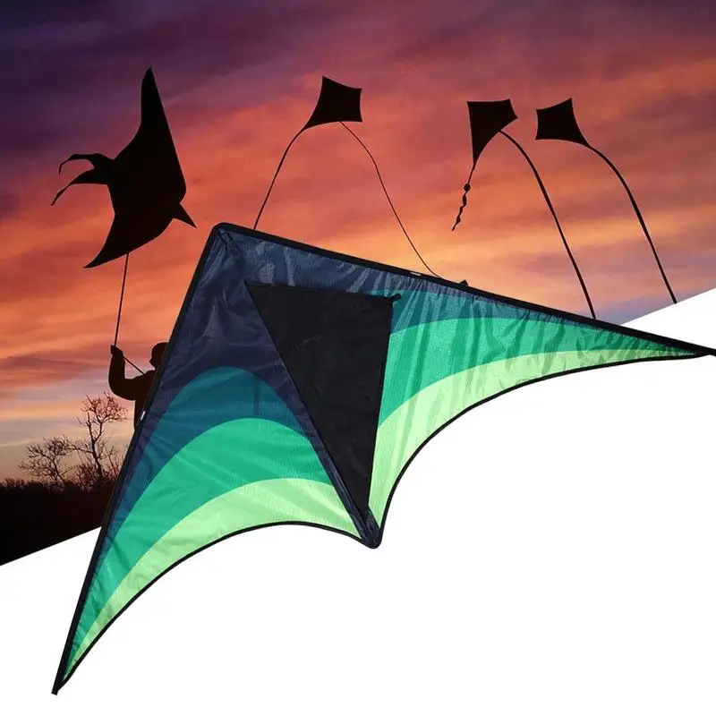 High Quality Large Delta Kites With Handle Line Outdoor Toys For Kids Kites Nylon Ripstop Albatross Outdoor Flying Kites 6