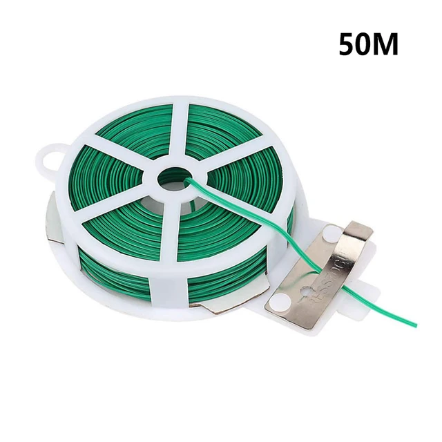 50M