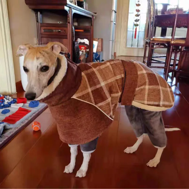 lã quente para cães médios grandes weimaraner