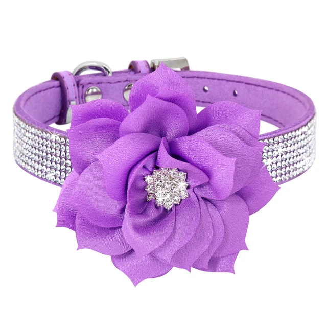 305-purple