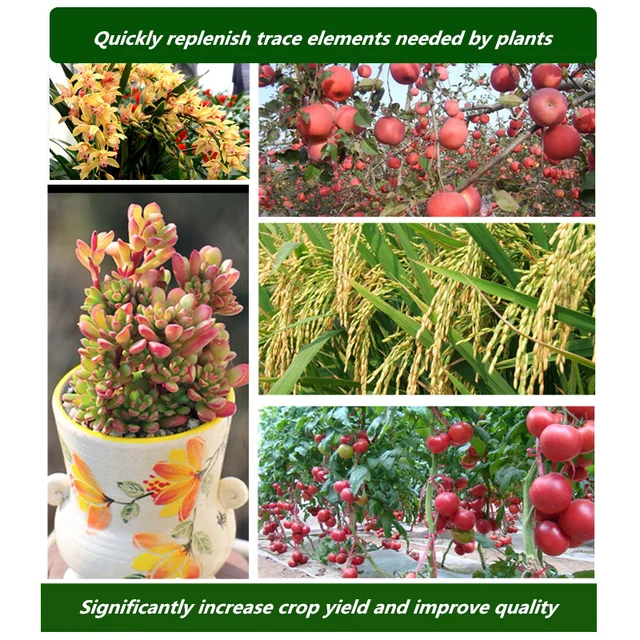 250 G Nyomelemek Virág Műtrágya Zöld Növény Cserepes Beltéri Zöldség Húsos Összetett Otthoni Kertészethez - Image 4