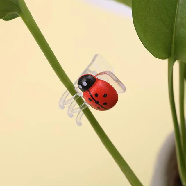30Db/Tétel Aranyos Katicabogár Orchidea Klipek Kerti Virág Növényi Szárának Támogatása Help Szőlő Növekedése 2X2,5 Cm - Image 4