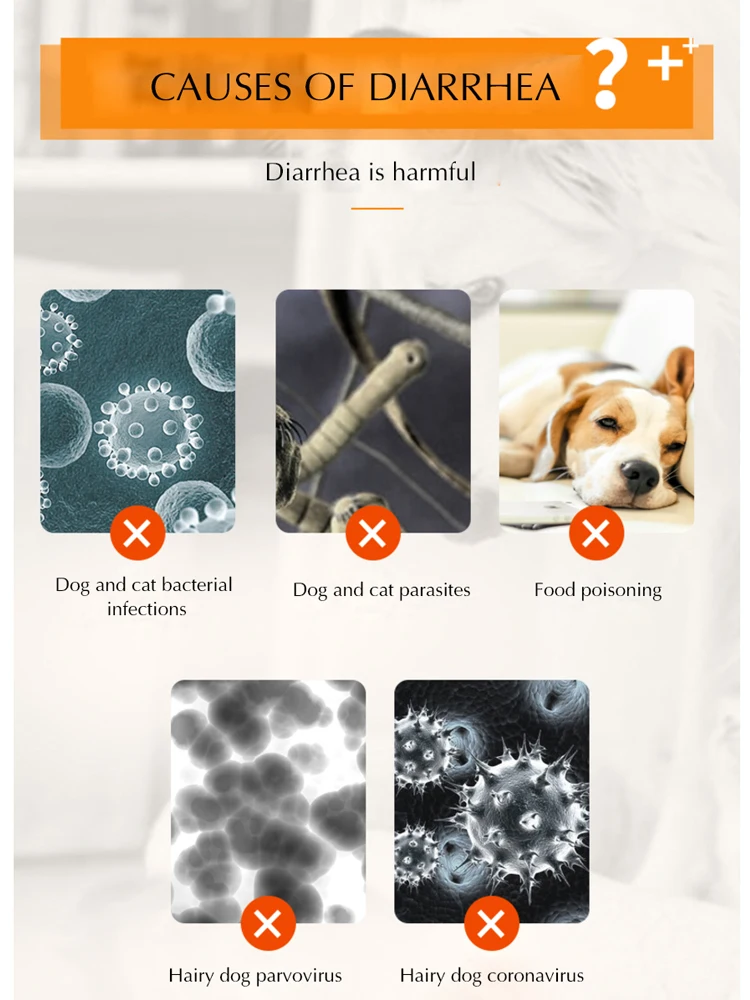 Chzk Kopek Ishal Antidiarrheal Ilac Pet Enteritis Ilac Kedi Kusma Bakteriyel Enfeksiyon Parvovirus Oral Cozum Pet Dewormers Aliexpress