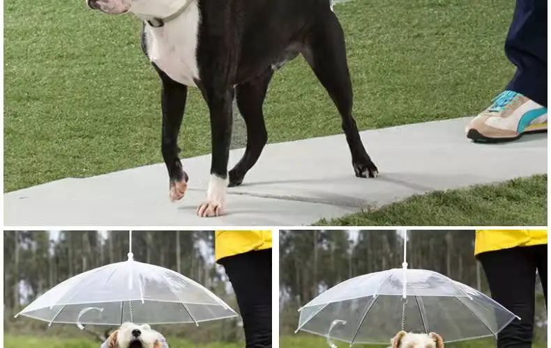 Convenient Transparent Rain Umbrella With A Leash For Dogs