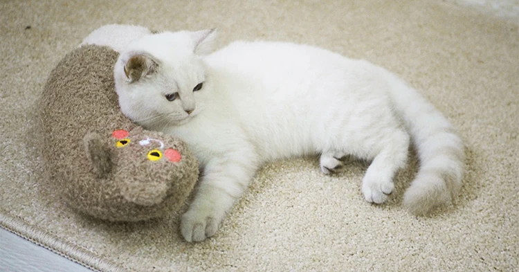 Soft-Cat-Pillow-Neck-Support-Head-Protection-Pet-Pillows-Lovely-Cat-Accessories-Cats-Sleep-Pad-Toy-Christmas-Gift-for-Cat-House-07