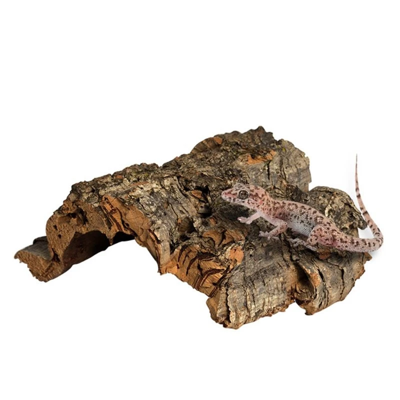Reptile Climbing Cork Bark Natural Tree Wood Habitat Lizard Spider
