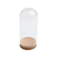 Home Decor Vases Glass Flower Display Cloche Bell Jar Dome Immortal Preservation Wooden Base Everlasting Flower Glass Cover - Image 6