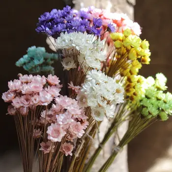 

100PCS Star Daisy Dried Flowers Decorative Bouquet Natural Plant Preserve Floral For Wedding Home Decoration Photography Prop