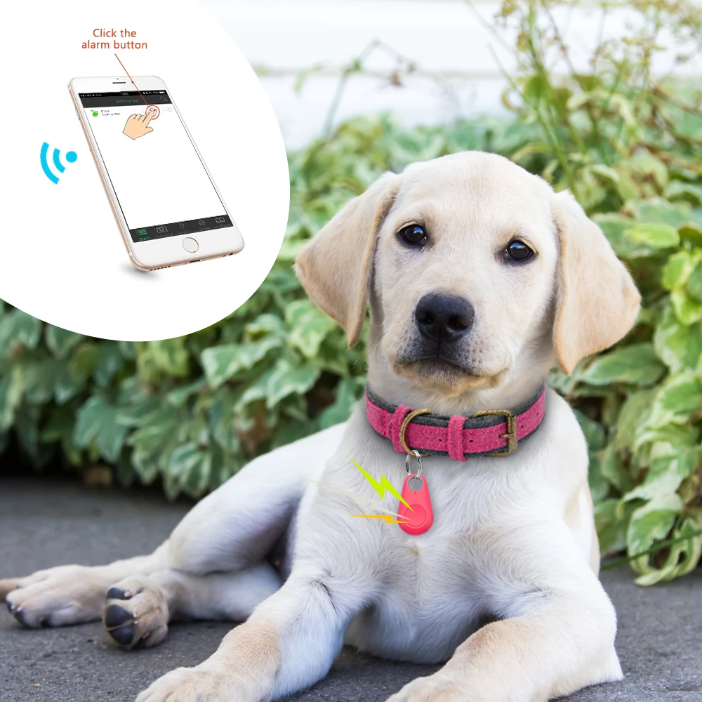 Pet Dog Cat Детский автомобильный кошелек для ключей украшения на шею Смарт GPS трекер мини анти-потеря водонепроницаемый локатор Bluetooth Tracer