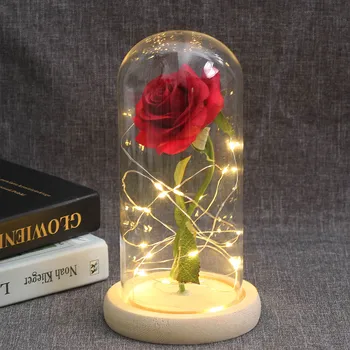 

Beautiful rose, eternal light, beautiful rose and pink beast on Crystal Dome for mother's Valentine's day or Christmas present