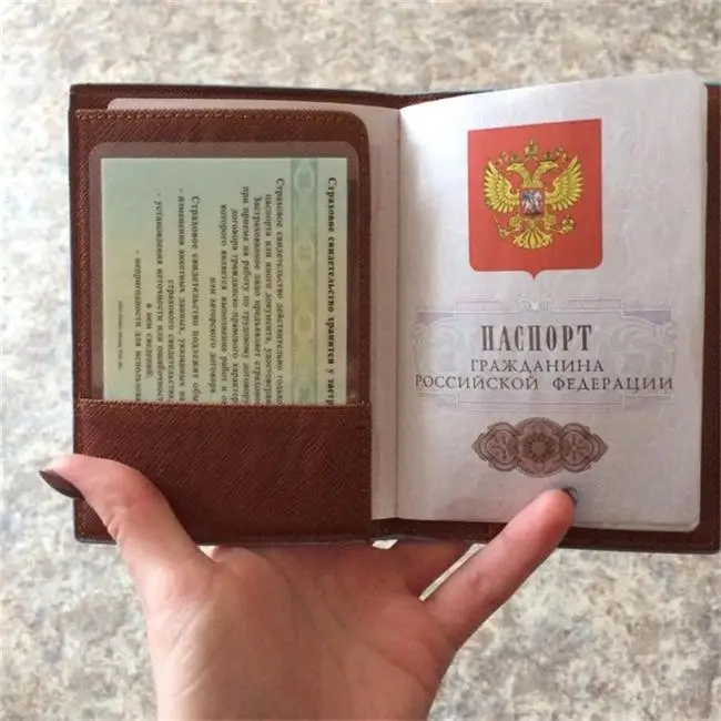 Зеленый динозавр кожа для мужчин и женщин для девочек и мальчиков Держатель для паспорта Пара моделей путешествия Обложка для паспорта карта унисекс чехол против девочек карты H