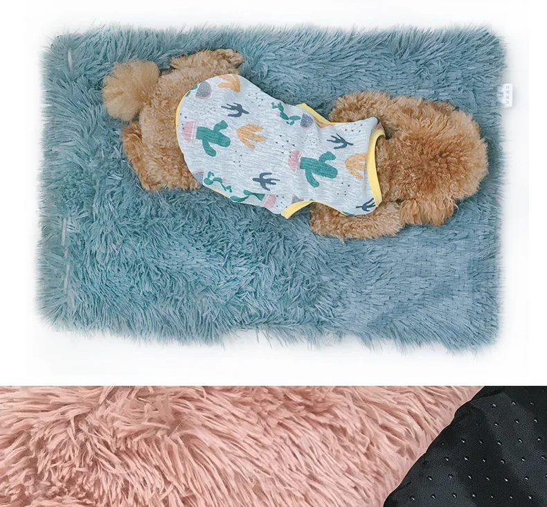 20303668377_1925085793