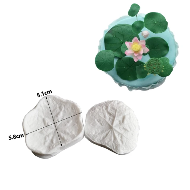 Lotus Leaf Mold