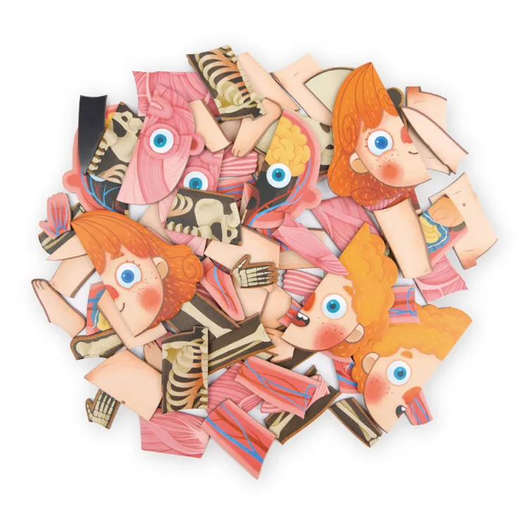 

MiDeer Mi Deer Children Human Cognitive Jigsaw Puzzle Baby Magnetic Hanging Plate Jigsaw Puzzle Study Medicine Educational Toy 6