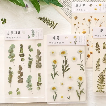 

1 Sheet Natural Daisy PET Stickers Transparent Flowers Leaves Plants Deco Sticker Stationery Supplies for DIY Scrapbooking Diary