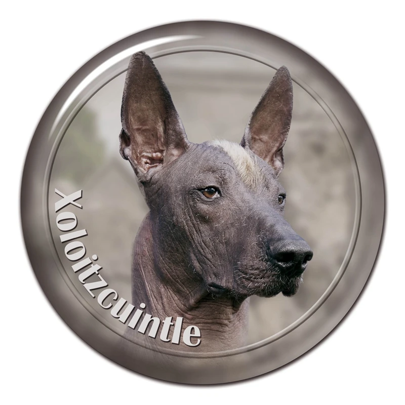 

A0635# 13cm/17cm Removable Decal Xoloitzcuintle Breed Dog Car Sticker Waterproof Accessories on Bumper Rear Window Laptop Toilet