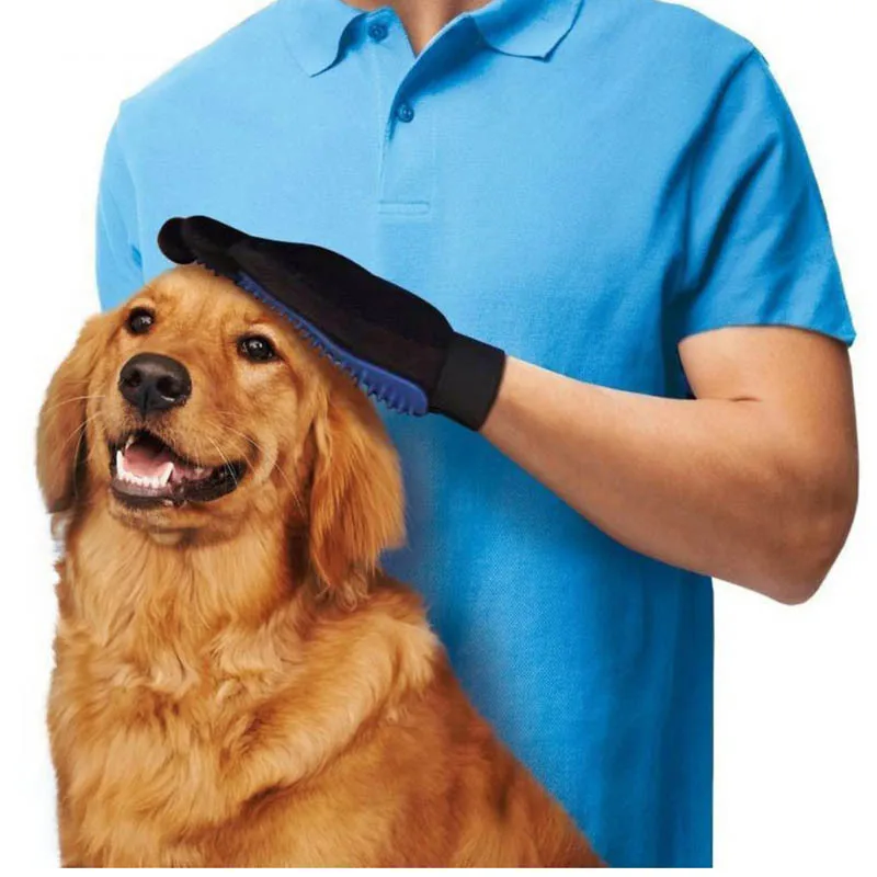 12429507294_987089720