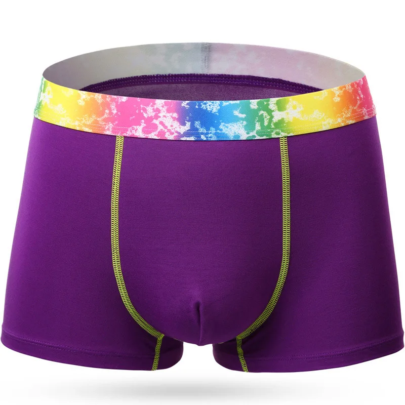 Purple red 2pcs DENNYLITER 2 шт./партия модальные мужские нижнее белье мужские боксеры мужские Трусы Дышащие Боксеры мужские плетеные трусы удобные шорты - Цвет: Purple red 2pcs