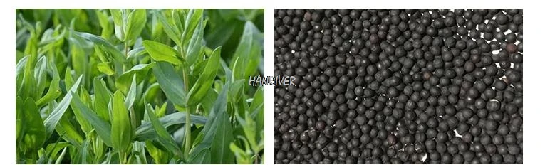 36020190316203746100