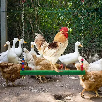 

Chicken Swing Chicken Perch Chicken Toy Perfect For Hens Bird Parrot Macaw