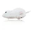 Hot Creative Funny Clockwork Spring Power Plush Mouse Toy Cat Dog Playing Toy Mechanical Motion Rat Pet Accessories 3