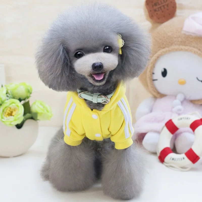 3886779804_277183843