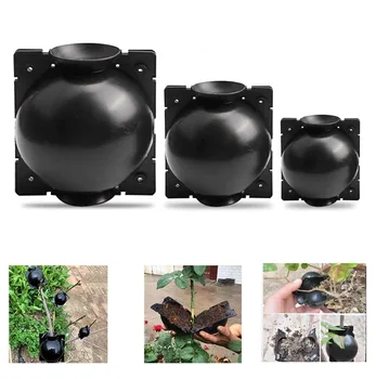 

5pcs Plant Rooting Box Grafting Rooting Growing Box Breeding Case Plant Rooting Device High Pressure Box for Garden