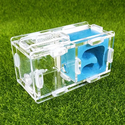 mini ants nest ant farm acrylic&gypsum for young queens and small colonies ants house ant home