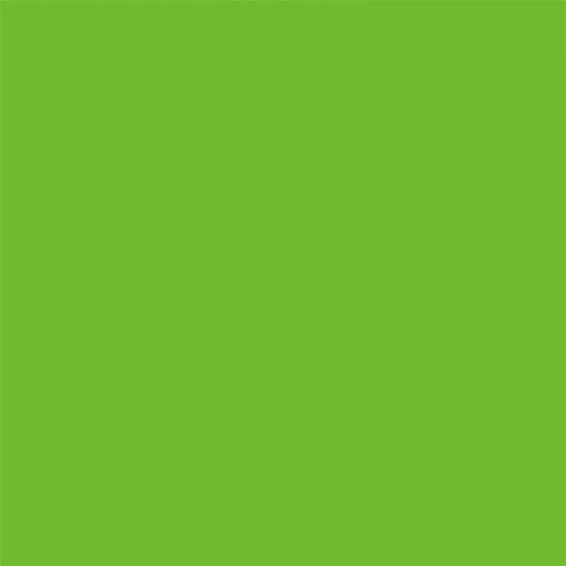 Индивидуальная Настенная Наклейка "Фея" для девочек, Виниловая наклейка для украшения детской комнаты Dst004 - Цвет: Зеленый