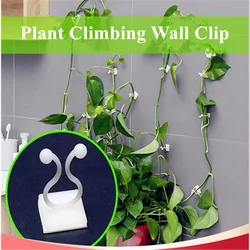 1/10/20pcs Plant Climbing Wall Clip Invisible Wall Vines Fixture Wall Sticky Hook Holder Plant Cages Supports