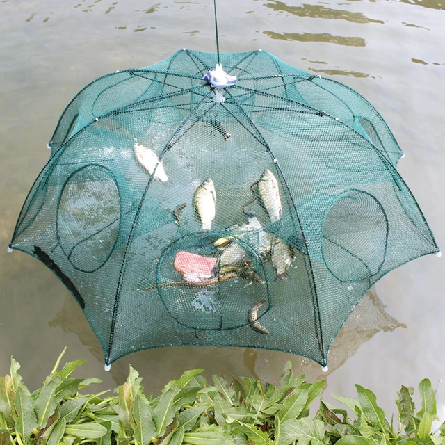 Folded Hexagon Octagon 4/6/8/10/12/16/20 Holes Fishing Shrimp Automatic Trap  Fishing Net Fish Shrimp Minnow Crab Baits Cast Mesh - Fishing Tools -  AliExpress