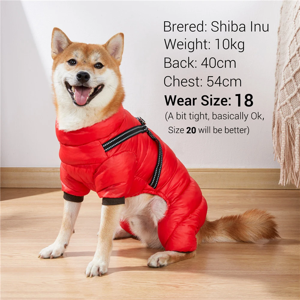 Pet Dog Down Jacket,Winter Button Down 4-Legs Waterproof Cotton Padded Warm  Dog Coat Lightweight Small Dog Sweater,for Small Medium Dogs Cold-weather  Outdoor Walking Apparel,XS-XXL Gold 