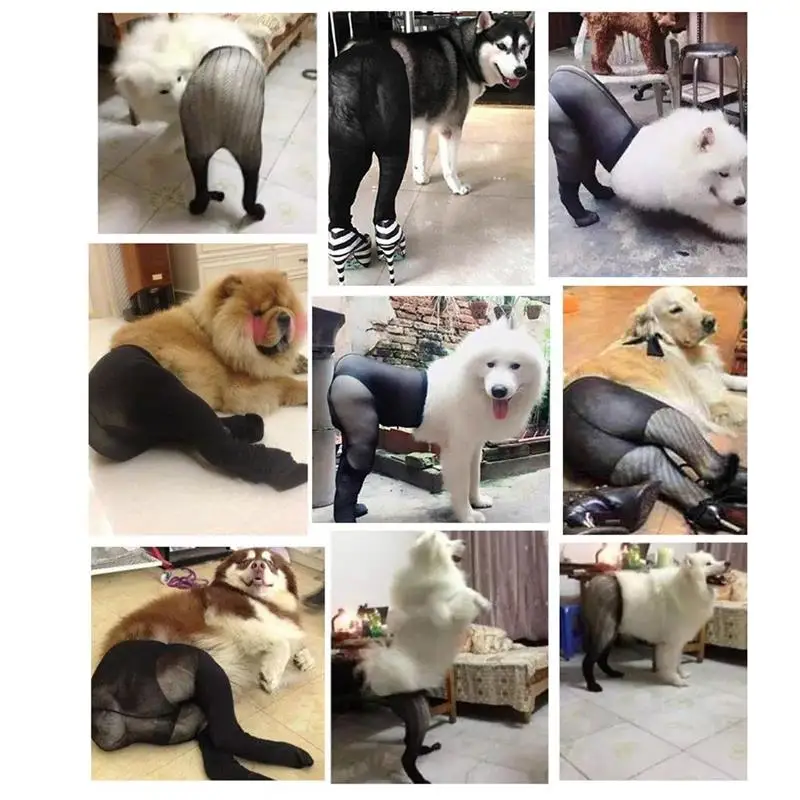 creative-1-Pair-Pet-Stockings-Black-Sexy