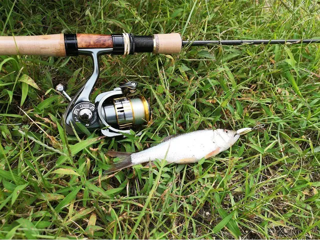 Fishing Reels FS 500 800 1000 Ligh Game Spinning  