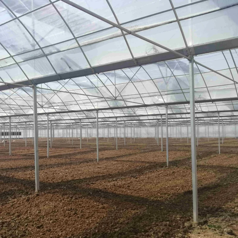 Рисунок 5 - 24 м * 32 м Коммерческая многопролетная