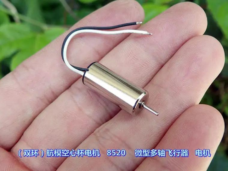 

(Double Ring) NdFeB Magnet 8520 RC Airplane Hollow Cup Motor DC3.7V 46000 Rpm High Torque