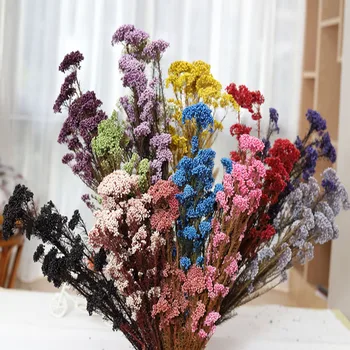 

Wholesales 50-60cm Natural Dried Fresh Preserved Millet Flower DIY Modern Home Decor Bouquet Wedding Decoration Floral