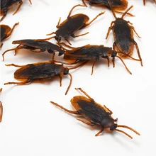 Jouet amusant anti cafards, 5 pièces, nouveauté, insectes cafards, réaliste, farce, effrayant