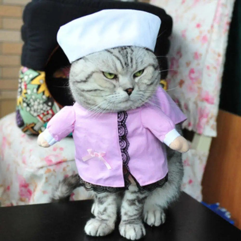 Funny Dress Одежда для кошек для косплея, забавные костюмы для кошек, одежда для костюмированной вечеринки, одежда для косплея, gatos disfraz, собака Перро, костюм на Хэллоуин, Каттен@ 5 - Цвет: Funny Dress