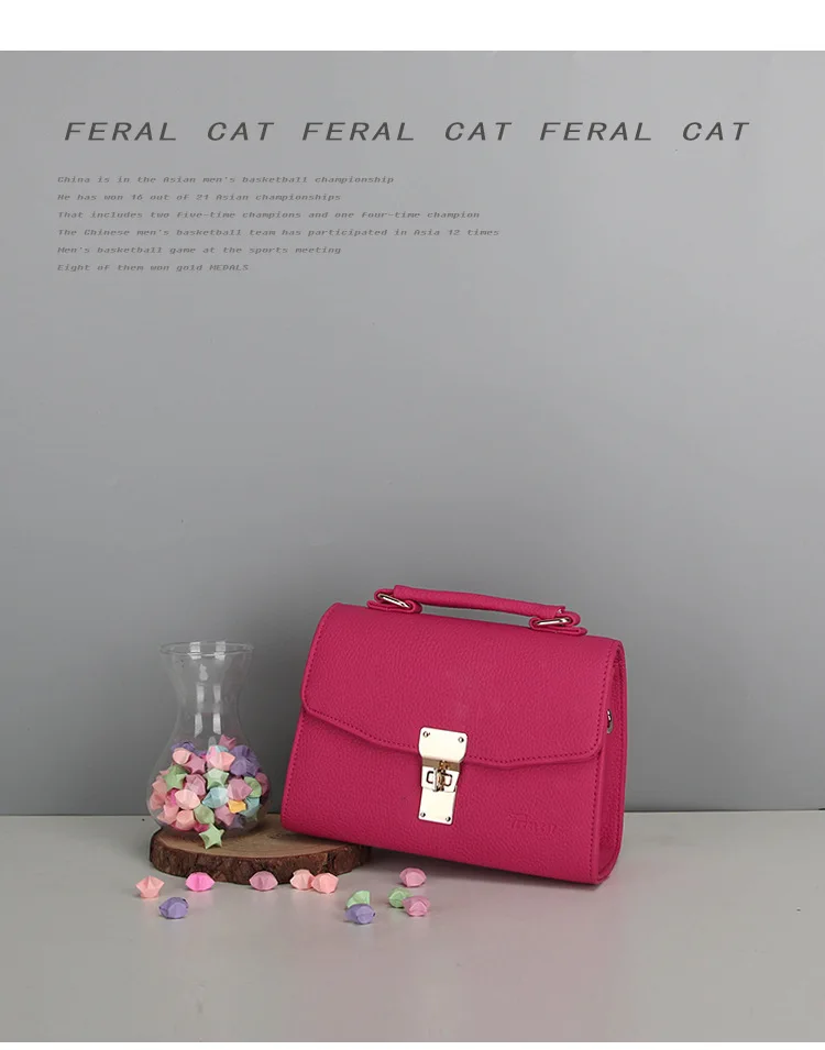 FERAL CAT 2017 Luxury Handbags Women Shoulder Bags Designer Ladies Hand Bags Leather Messenger Bag17