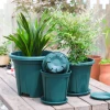 2Pcs Rooting Control Flower Pot With Tray Thickened Succulent Planting Breathable Pot Home Garden Seeding Nursery Container 4
