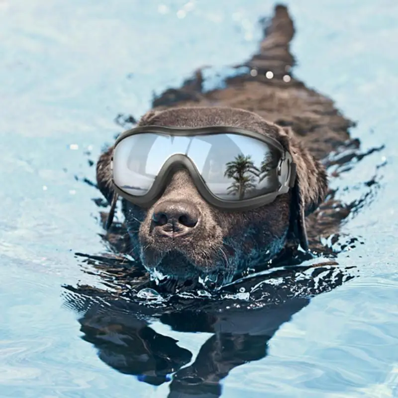 Солнцезащитные очки для собак с защитой от ультрафиолета, ветрозащитные очки для домашних животных, одежда для глаз, товары для средних и больших собак, очки для плавания и катания на коньках, аксессуары для домашних животных