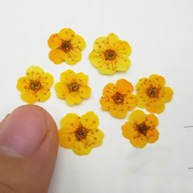 黄色0.6CM
