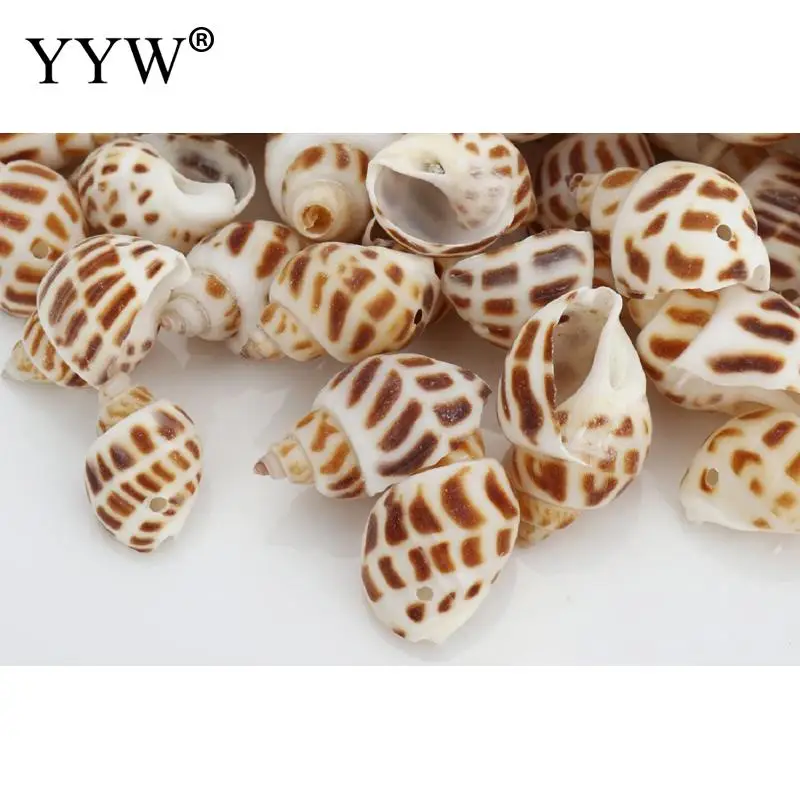 90 шт./пакет морские раковины Schelpen Coquillage Conchas Shell для украшения дома Морской Декор Декоративные ракушки Вавилон морской дом