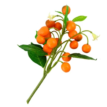 

Artificial Kumquat Model Simulation Fruit Foam Kumquat String Branch Plant Wall Decoration Photography Shooting Props