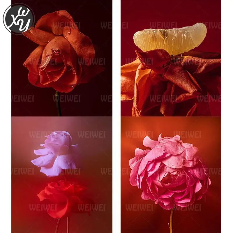 Misty Flowers Diamond Painting Fantasy Film Style Diamond Painting Kit Per Adulti Full Round Square Diamond Embroidery Home Decor