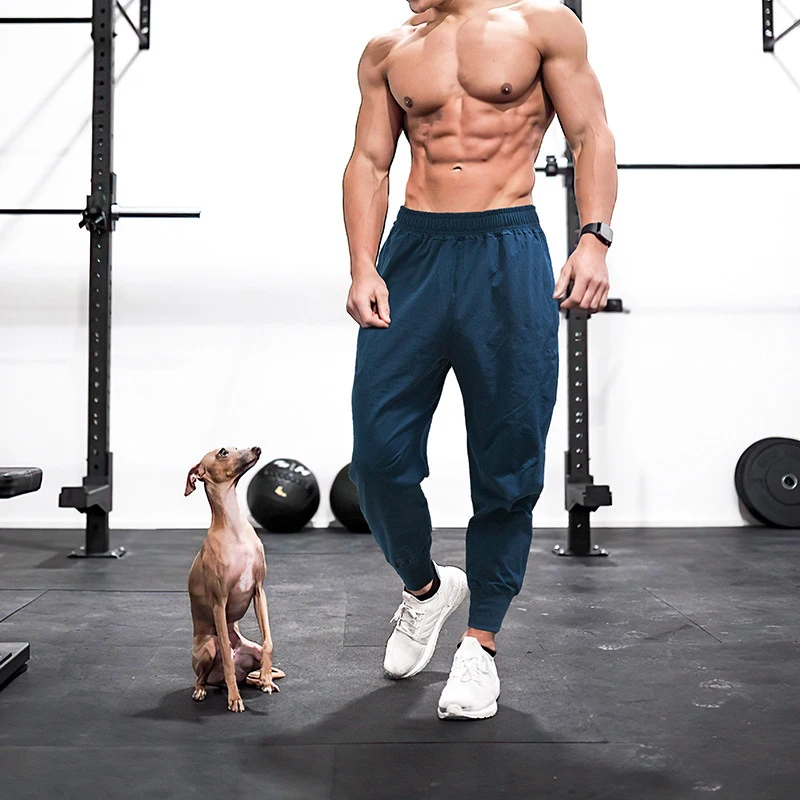 Joggers Pants Men Summer Fitness 